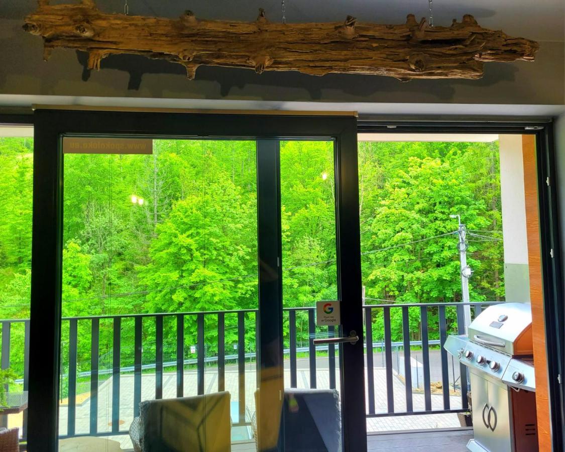 Apartament Spokoloko Mysliwski Щирк Экстерьер фото